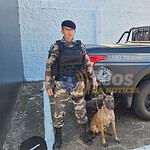 whatsapp image 2024 07 16 at 18.05.52 (1)