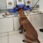 whatsapp image 2024 07 16 at 18.05.53