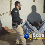 whatsapp image 2024 07 17 at 23.11.54