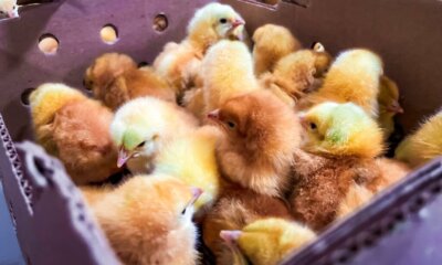 whatsapp image 2024 07 19 at 10.47.31 1024×768 whatsapp image 2024 07 19 at 10.47.31 1024x768