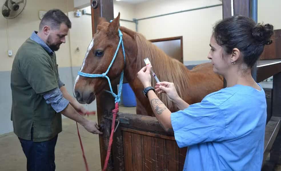 whatsapp image 2024 07 20 at 13.43.02 whatsapp image 2024 07 20 at 13.43.02