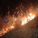 whatsapp image 2024 07 23 at 01.37.20