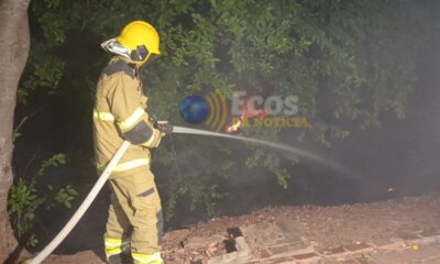 whatsapp image 2024 07 23 at 01.37.21 (2) whatsapp image 2024 07 23 at 01.37.21 (2)