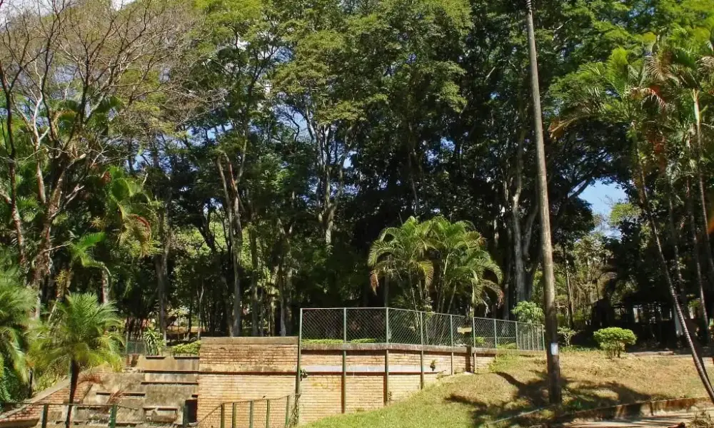 whatsapp image 2024 07 26 at 09.18.51 whatsapp image 2024 07 26 at 09.18.51