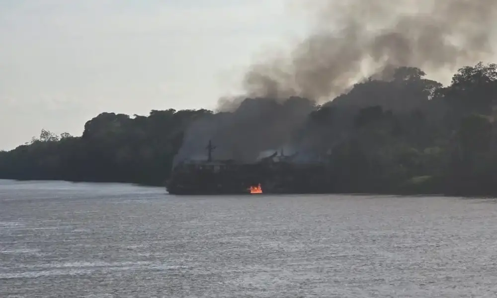 whatsapp image 2024 07 29 at 21.36.19 whatsapp image 2024 07 29 at 21.36.19