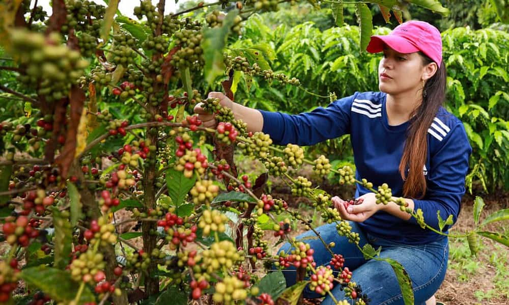 1000364974 1024×660 1000364974 1024x660