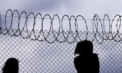 1061589 img 8607 12.01.17 1061589 img 8607 12.01.17