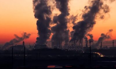 23 anos (43) 23 anos (43)