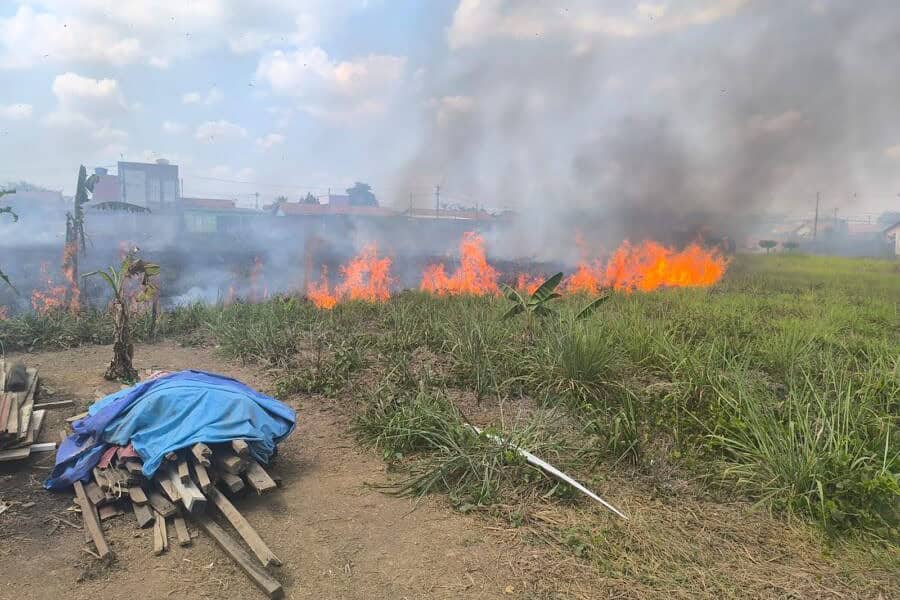 25bcad57 3587 45c0 9a07 97f8baca35e6 900×675 25bcad57 3587 45c0 9a07 97f8baca35e6 900x675