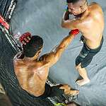 3fa9e9f6 6657 4774 8b9e 7bcf3c19017e 1 scaled