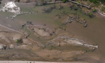 7e831274 252f 4628 bae9 8c7319543e01 1024×576 7e831274 252f 4628 bae9 8c7319543e01 1024x576