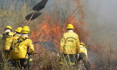 968e8b39 fb9d 4ec3 8b39 a7daa5b5e177 968e8b39 fb9d 4ec3 8b39 a7daa5b5e177