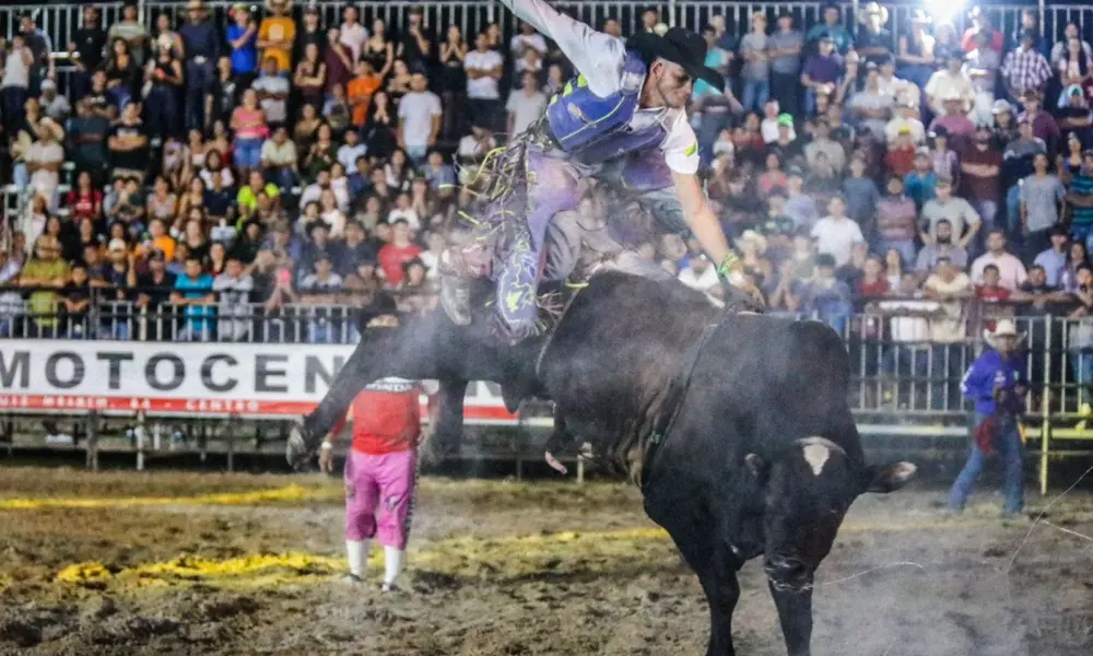 9e6603cd f277 4d97 83c1 d291d10cf62f 9e6603cd f277 4d97 83c1 d291d10cf62f