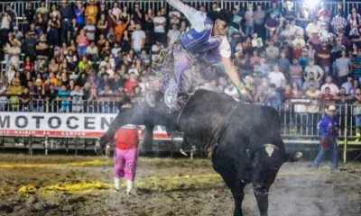 9e6603cd f277 4d97 83c1 d291d10cf62f 9e6603cd f277 4d97 83c1 d291d10cf62f