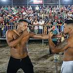 9f5ce60b e891 4b87 8385 f89784883dd7 1 scaled