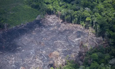 desmate 900×600 desmate 900x600