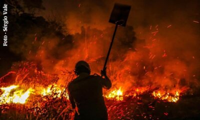 fogo queimada 1 fogo queimada 1