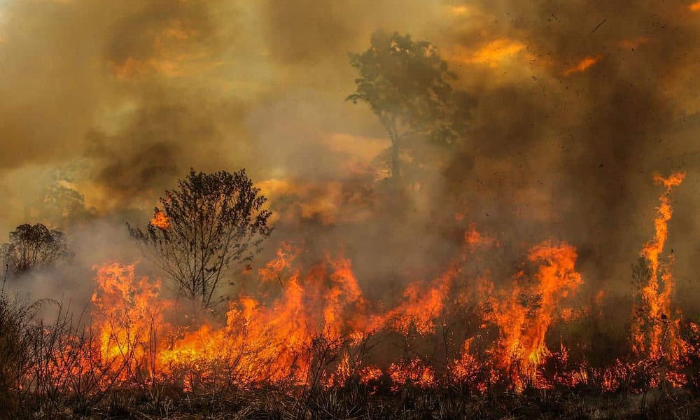 fogo queimada fogo queimada