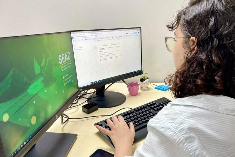 frame 431 2024 08 08t115243.773 900×641 frame 431 2024 08 08t115243.773 900x641