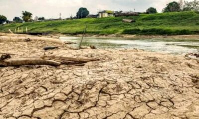 frame 431 2024 08 19t082155.783 1 900×641 frame 431 2024 08 19t082155.783 1 900x641