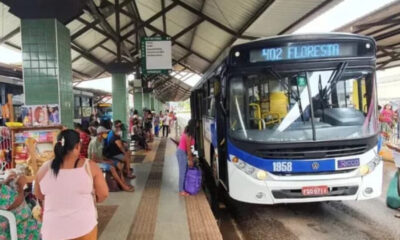 frame 431 2024 08 19t093613.668 900×641 frame 431 2024 08 19t093613.668 900x641