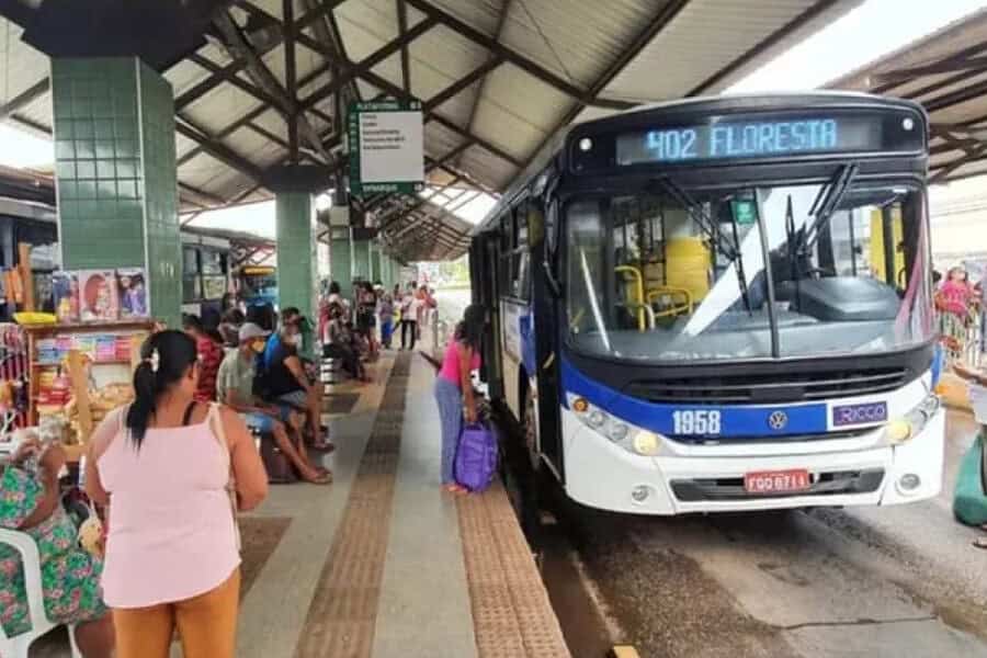 frame 431 2024 08 19t093613.668 900×641 frame 431 2024 08 19t093613.668 900x641