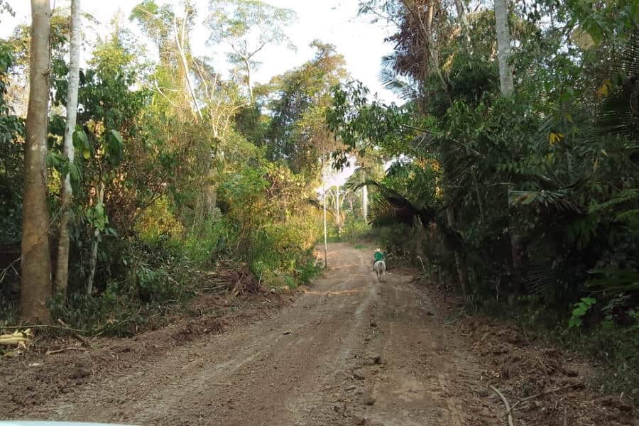 frame 431 2024 08 20t081617.829 900×641 frame 431 2024 08 20t081617.829 900x641