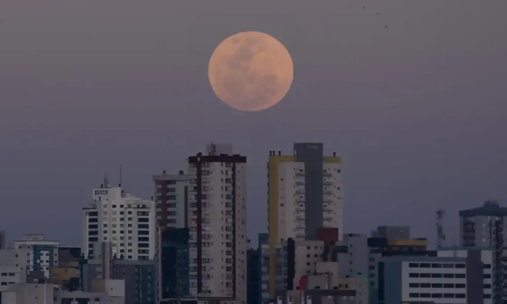 fup20230830350 e1724081348770