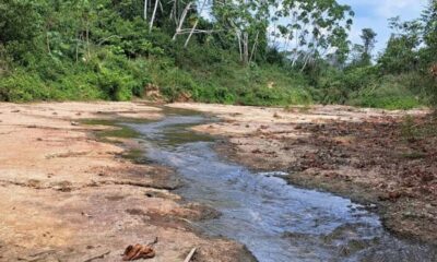 image2 15 e1723812098482 900×606 image2 15 e1723812098482 900x606