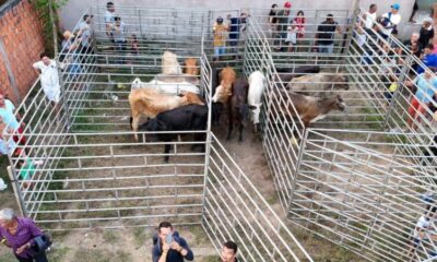 image 6483441 2 900×451 image 6483441 2 900x451