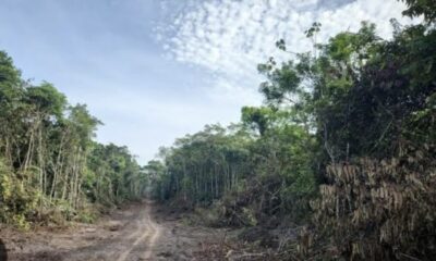 image 6487327 23 900×649 image 6487327 23 900x649