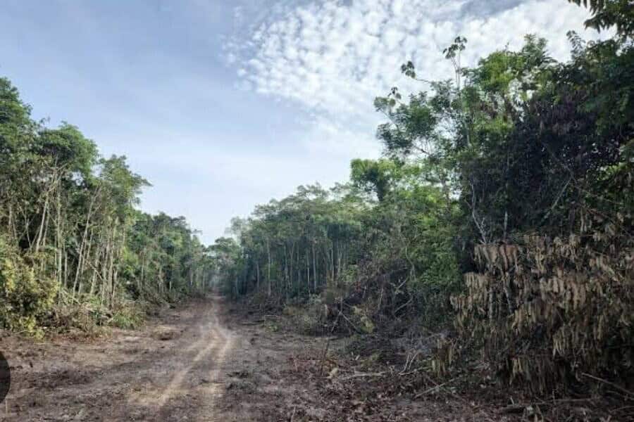 image 6487327 23 900×649 image 6487327 23 900x649