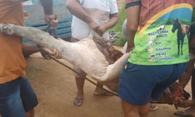 imagem do whatsapp de 2024 08 19 as 18.25.42 cc793b85 imagem do whatsapp de 2024 08 19 as 18.25.42 cc793b85