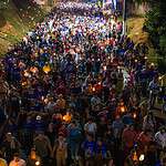 img 20240816 wa0012 scaled