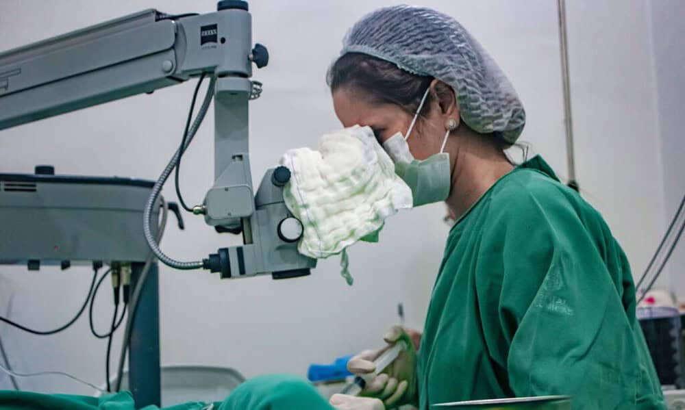 img 4910 1024×683 img 4910 1024x683