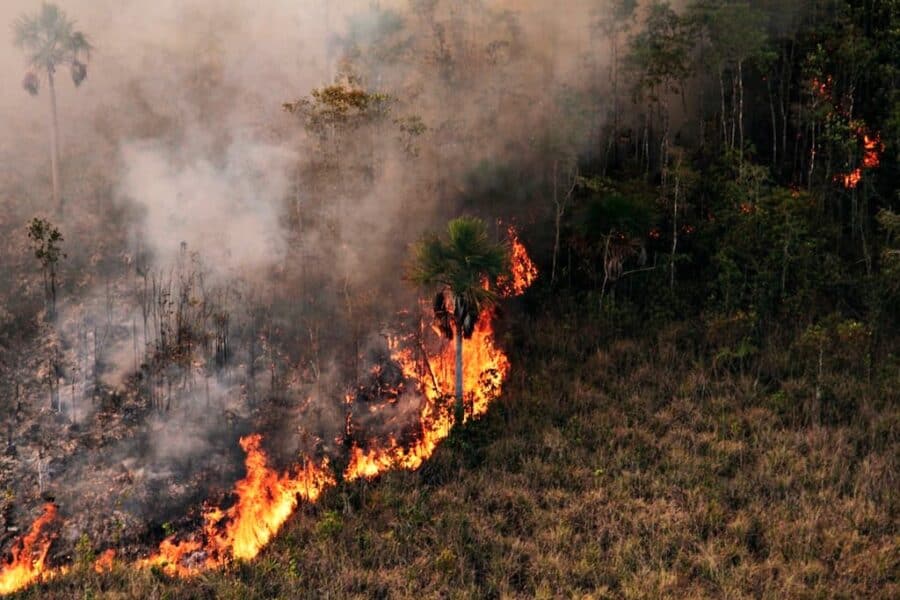 incendioflorestal fotoprevfogoibama 1 900x600
