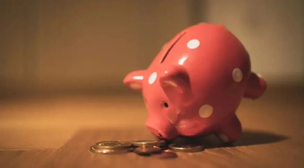 o que e o investimento coe