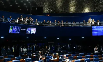 plenario plenario