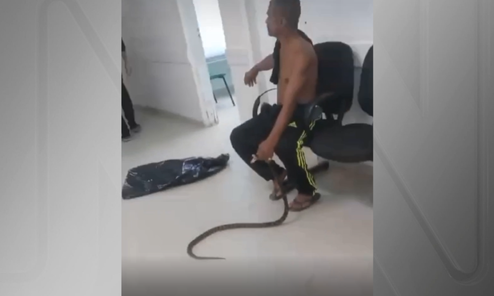 professor assassinado 6 1 1 professor assassinado 6 1 1