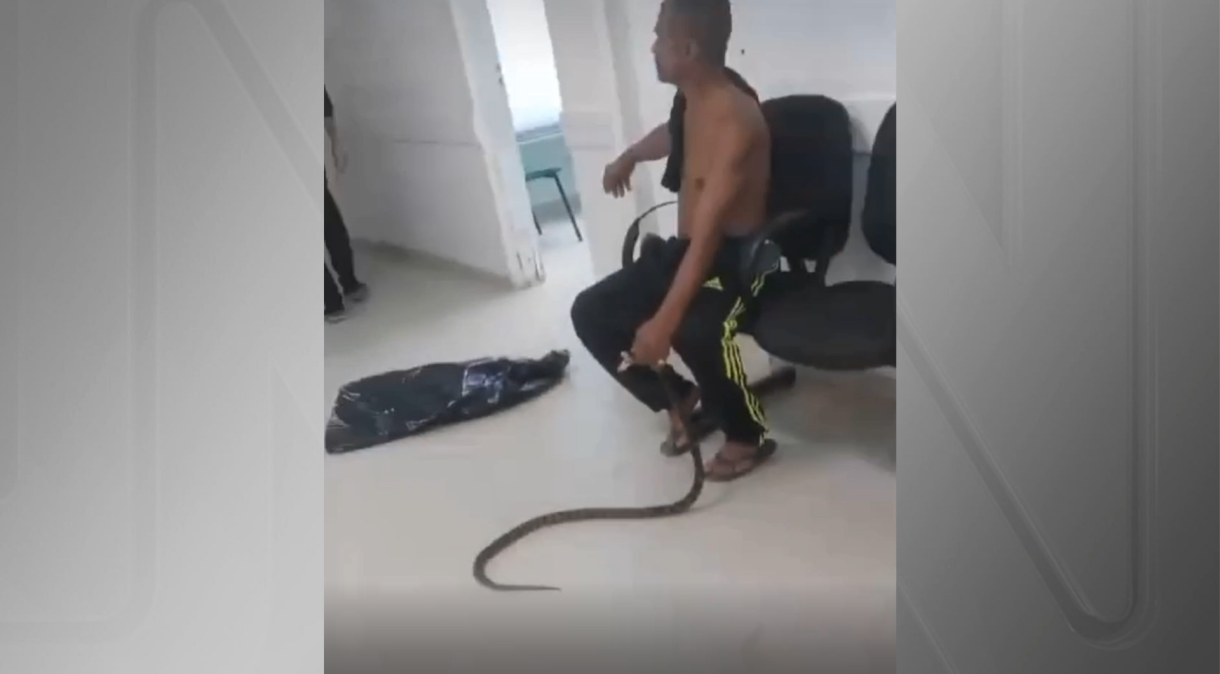Vídeo: homem leva cobra a hospital após ser picado pelo animal no litoral de São Paulo
