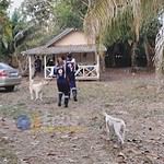 whatsapp image 2024 08 02 at 22.06.52 (2)