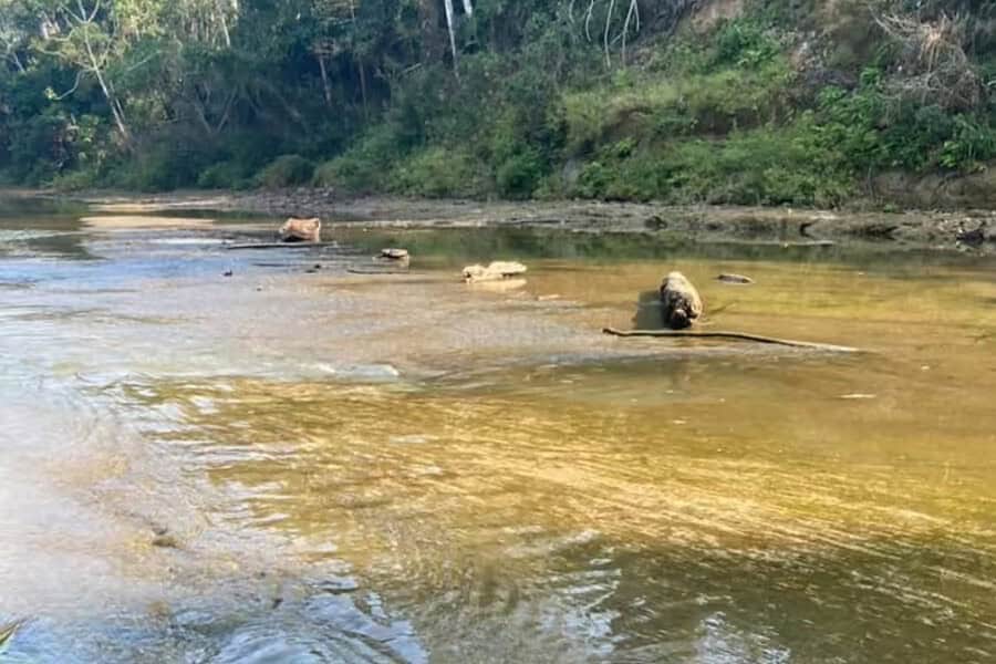 whatsapp image 2024 08 05 at 10.45.49