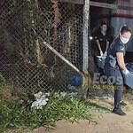 whatsapp image 2024 08 06 at 00.40.29 (2)