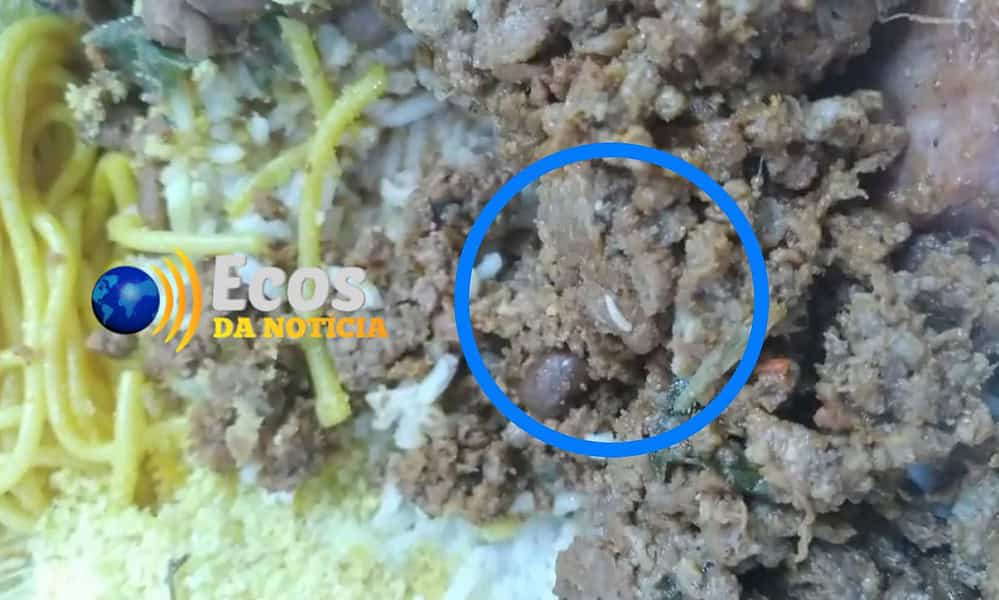 whatsapp image 2024 08 06 at 14.35.20 whatsapp image 2024 08 06 at 14.35.20