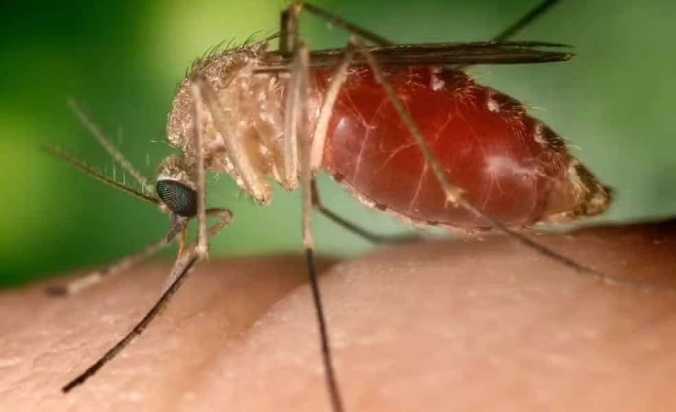 whatsapp image 2024 08 08 at 09.13.08 whatsapp image 2024 08 08 at 09.13.08