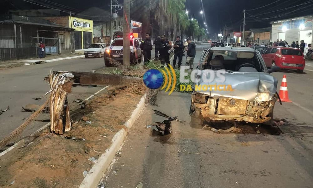 whatsapp image 2024 08 12 at 03.17.55 whatsapp image 2024 08 12 at 03.17.55