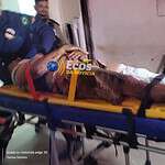 whatsapp image 2024 08 14 at 01.58.37 (1)