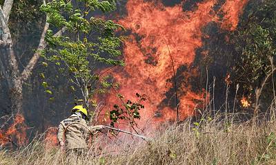 whatsapp image 2024 08 15 at 10.44.33 3 1 scaled whatsapp image 2024 08 15 at 10.44.33 3 1 scaled