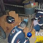 whatsapp image 2024 08 17 at 22.35.17