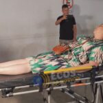 whatsapp image 2024 08 18 at 03.00.39 (1)